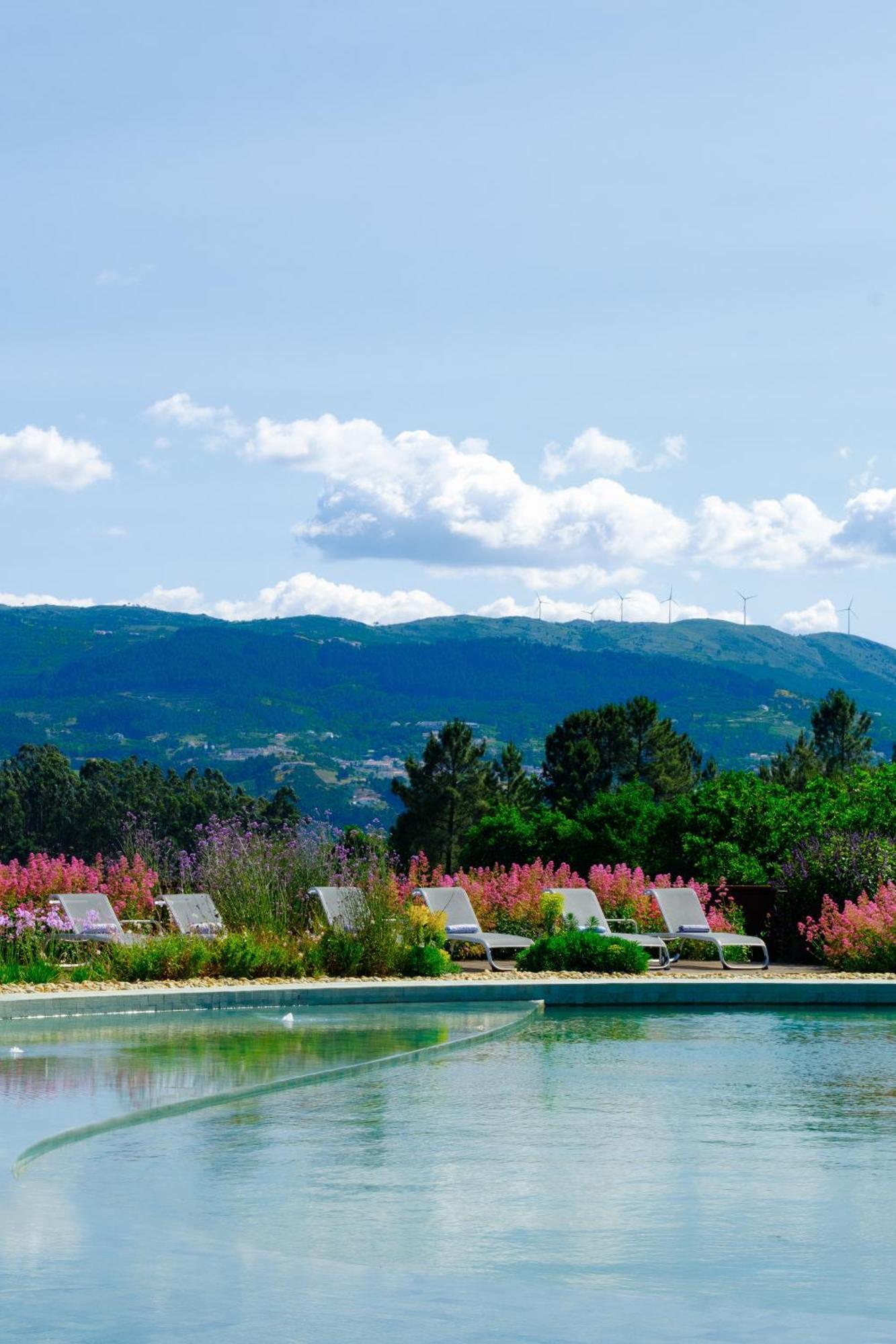 Lavandeira Douro Nature & Wellness Ancede Exterior photo